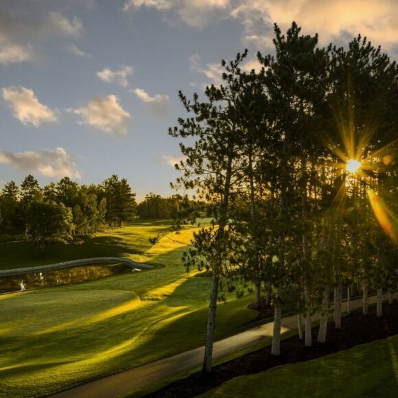 Under Armour AllSeasonGear® Women's Yellow 1/2 Zip Long Sleeve Pullover - Picture 14 of 15